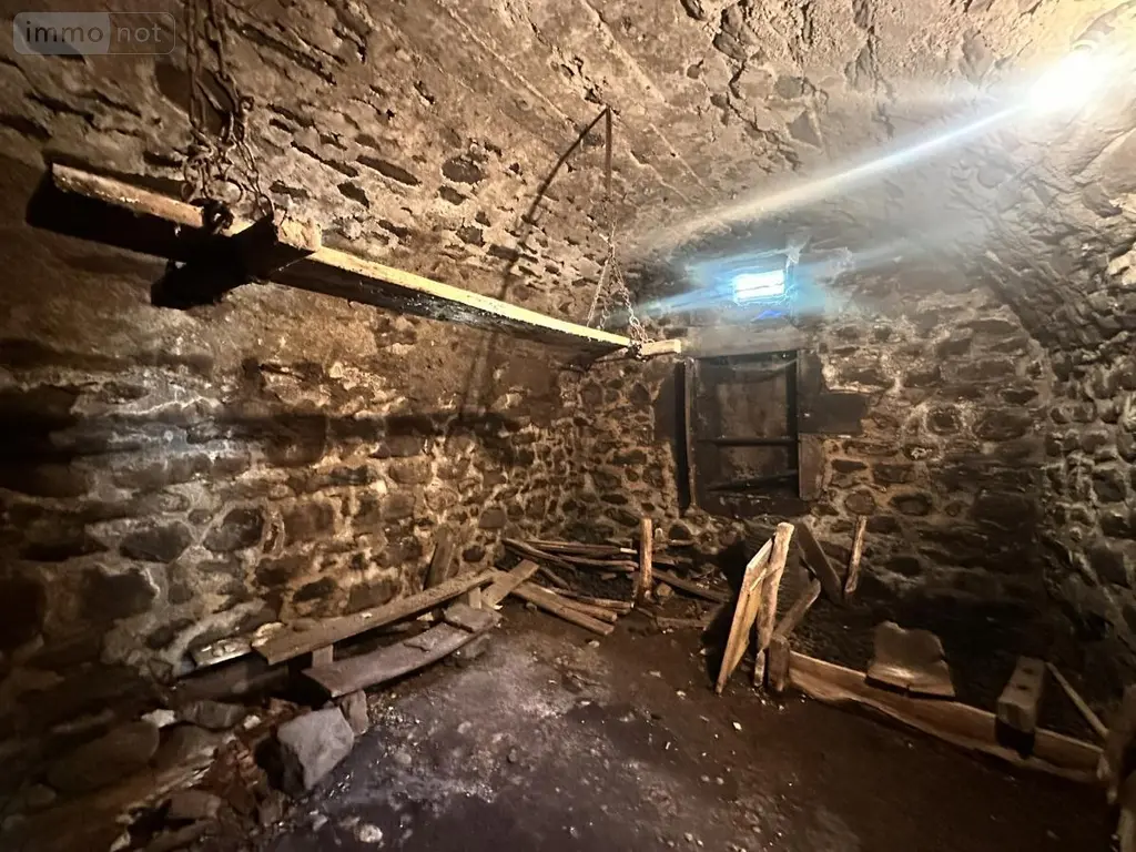 Maison a vendre Neuvéglise-sur-Truyère 15260 Cantal 15 90 m2 43000 euros 15046-91 008