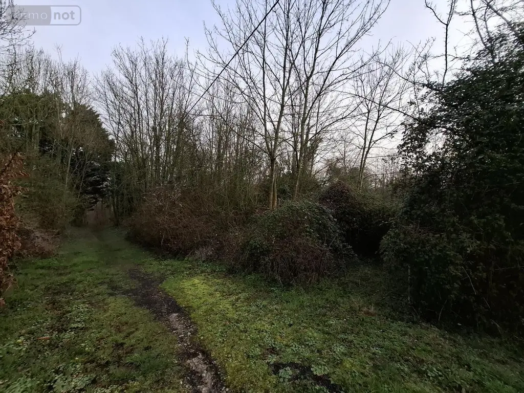 Terrains de loisirs bois etangs a vendre Ames 62190 Pas-de-Calais 62 28000 euros 62050-1772 002