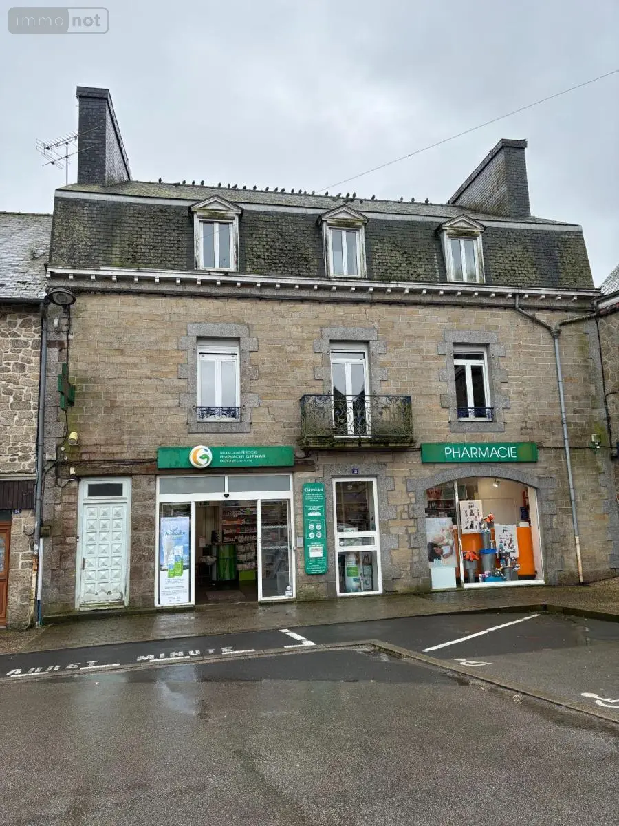 Maison a vendre Rostrenen 22110 Côtes-d'Armor 22 291 m2 11 pièces 206700 euros 44007-1710 001