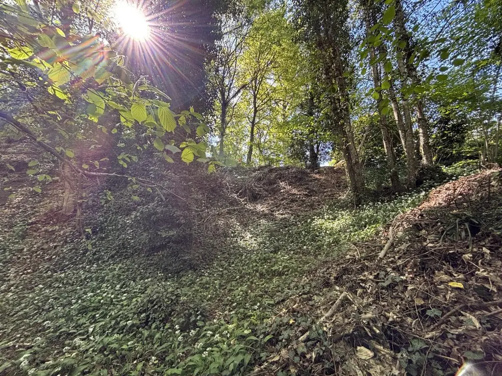 Terrain a batir a vendre Saint-Antoine-du-Rocher 37360 Indre-et-Loire 37 64200 euros 37037-17 001