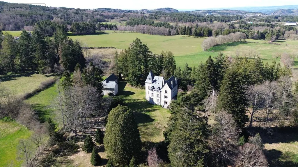 Maison a vendre Albaret-Sainte-Marie 48200 Lozère 48 550 m2 20 pièces 625000 euros 48032-214 042