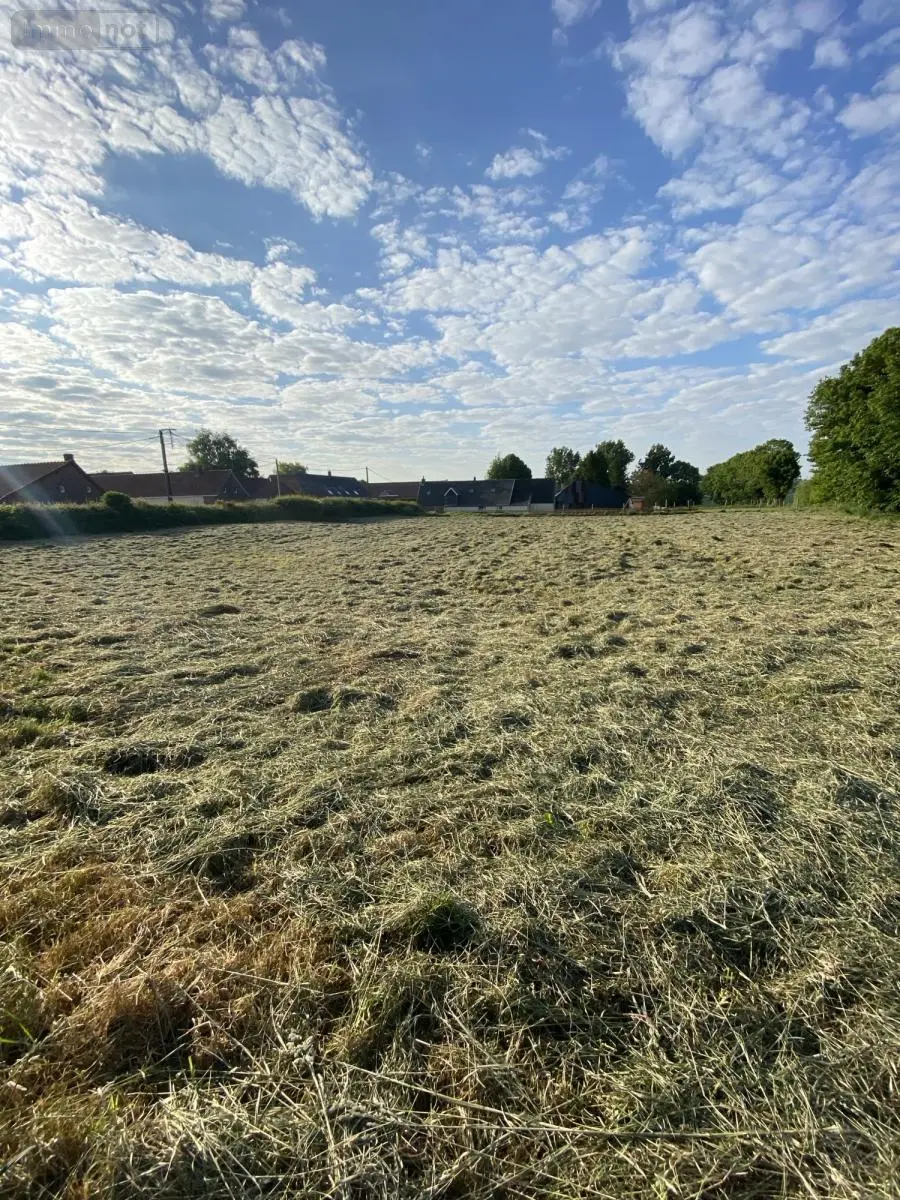 Terrain a batir a vendre Penin 62127 Pas-de-Calais 62 47700 euros 62114-795 001