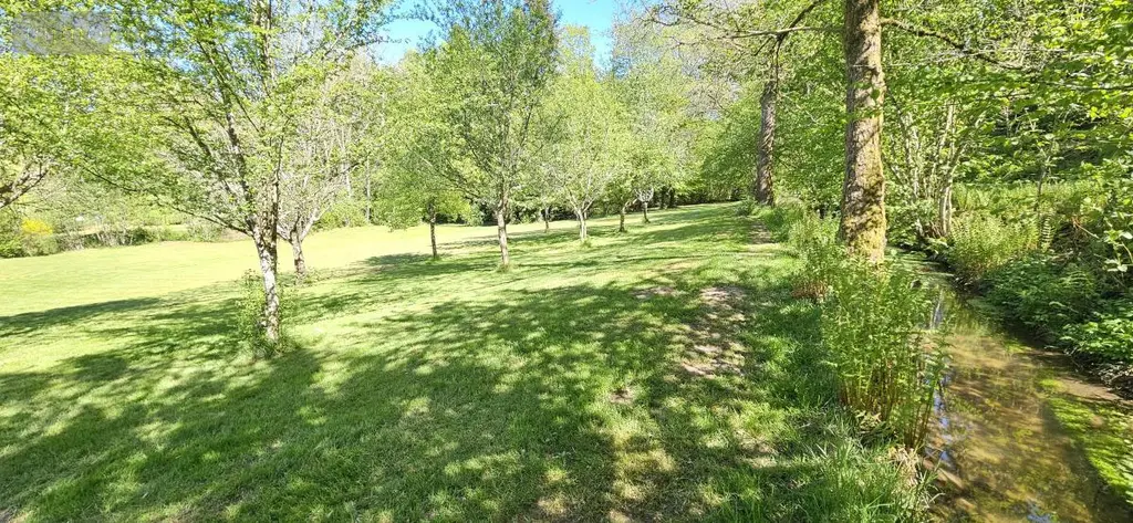 Maison a vendre Ménil-sur-Belvitte 88700 Vosges 88 300 m2 9 pièces 489000 euros 88061-851 010