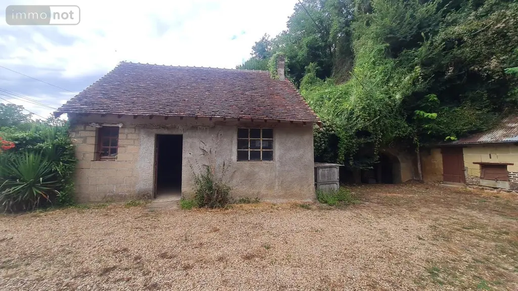 Maison a vendre Les Essarts 41800 Loir-et-Cher 41 52 m2 2 pièces 61800 euros 41059-1033 011