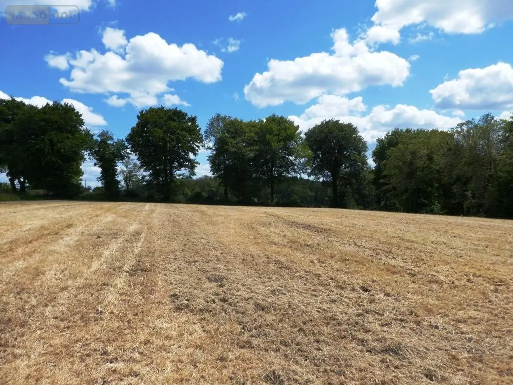Maison a vendre Plouray 56770 Morbihan 56 700 m2 19 pièces 800680 euros 56075-2235 038