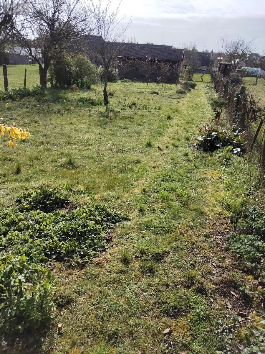 Maison a vendre Conlie 72240 Sarthe 72 45 m2 198280 euros 72125-59 010