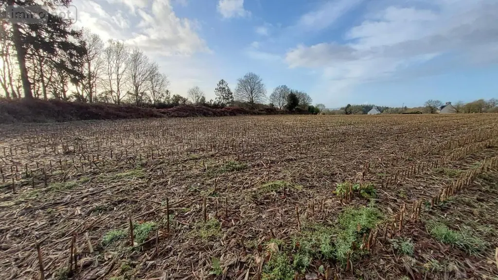 Terrain a batir a vendre Cléden-Poher 29270 Finistère 29 53235 euros 29066-3771 004
