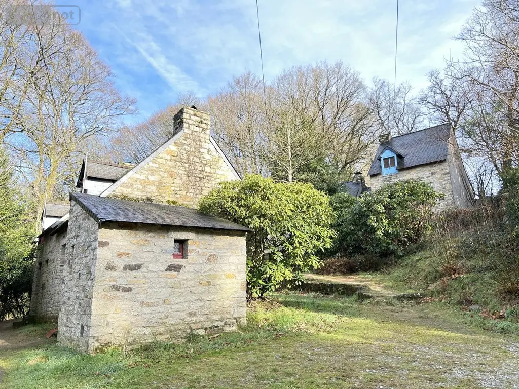 Maison a vendre Lizio 56460 Morbihan 56 260 m2 201900 euros 56046-1245 013