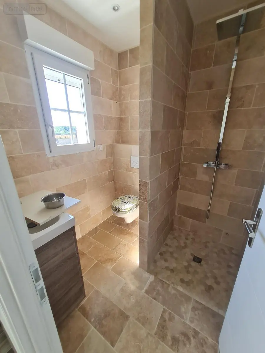 Maison a vendre Saint-Ouen 41100 Loir-et-Cher 41 141 m2 5 pièces 306505 euros 41059-1012 007