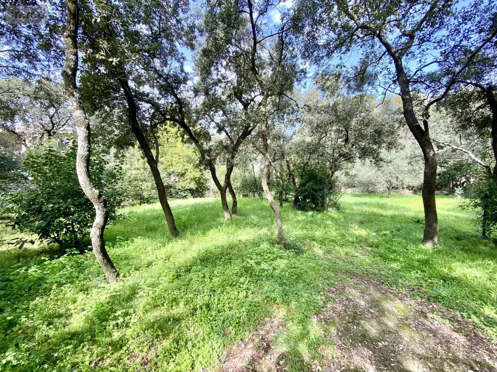 Terrain a batir a vendre Castries 34160 Hérault 34 359850 euros 34012-713 006