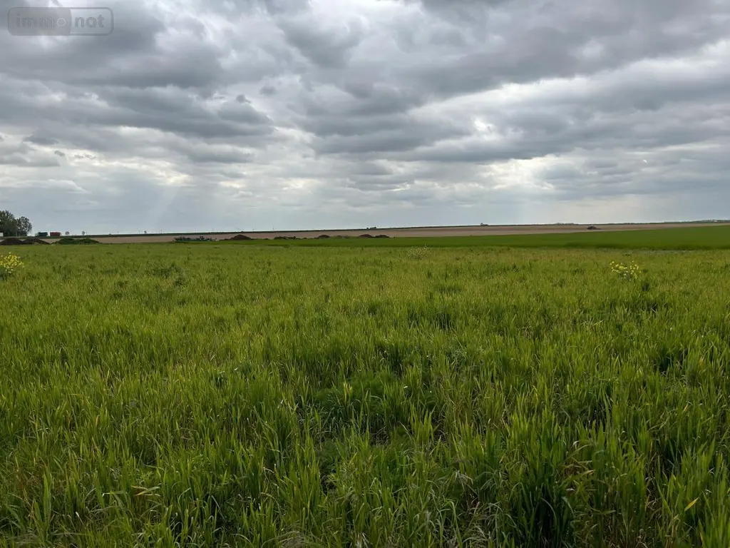 Terrain a batir a vendre Proyart 80340 Somme 80 40000 euros 80121-2495 002