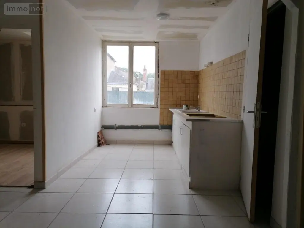 Immeuble de rapport a vendre Descartes 37160 Indre-et-Loire 37 183 m2 84000 euros 37082-252 008