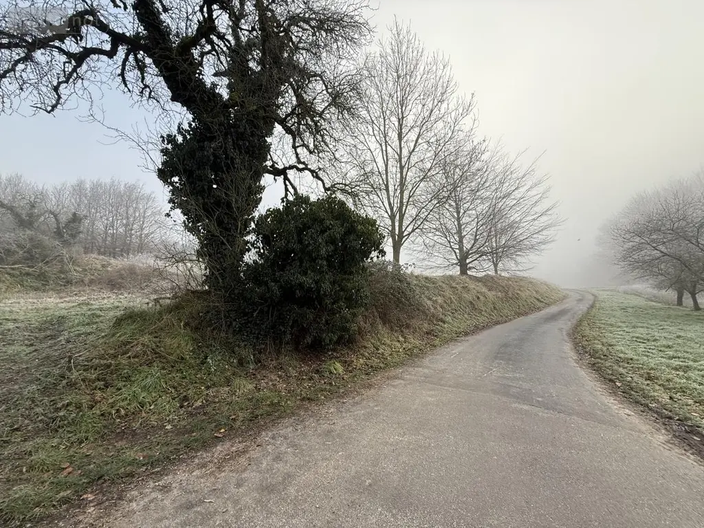 Terrain a batir a vendre Romain 51140 Marne 51 70000 euros 51066-2042 005