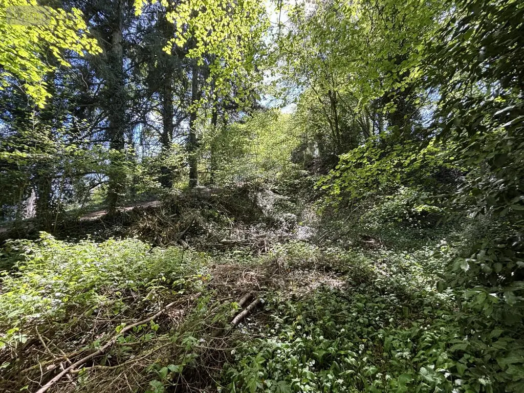 Terrain a batir a vendre Saint-Antoine-du-Rocher 37360 Indre-et-Loire 37 64200 euros 37037-17 003