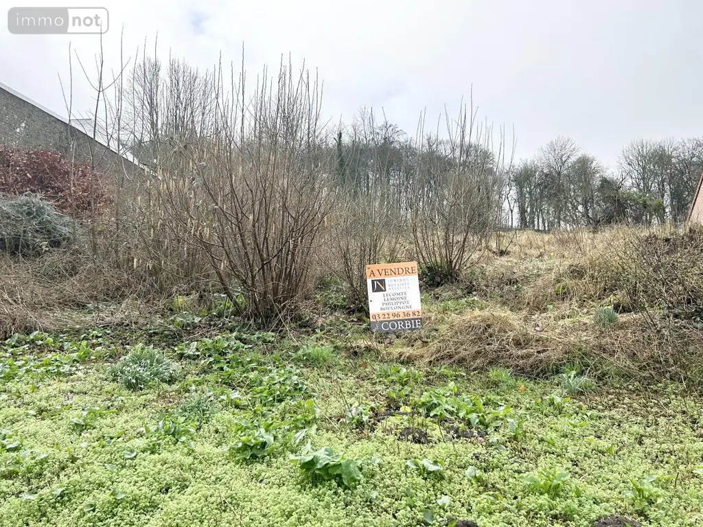 Terrain a batir a vendre Dompierre-sur-Authie 80150 Somme 80 32000 euros 80121-2461 004