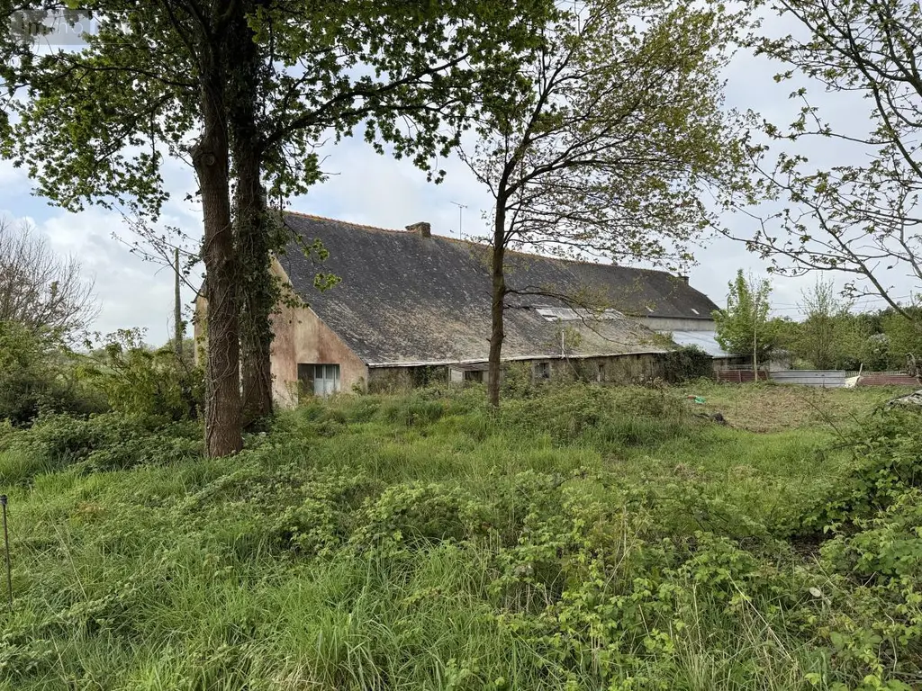 Maison a vendre Mohon 56490 Morbihan 56 45 m2 33960 euros 22115-3551 002