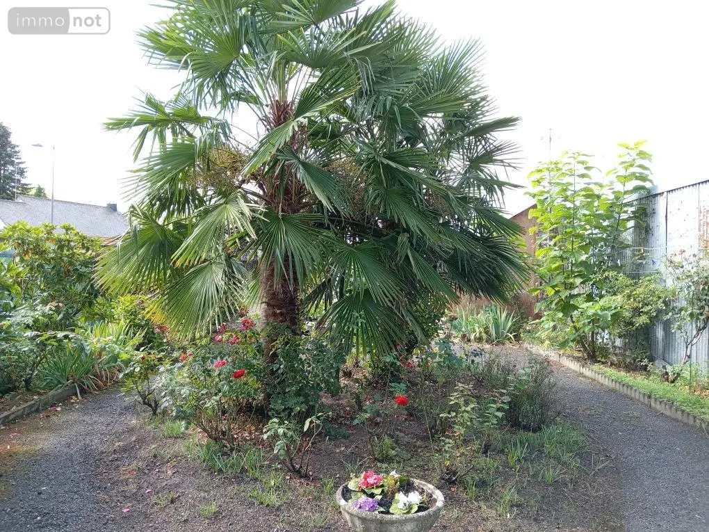 Maison a vendre Saint-Hilaire-du-Harcouët 50600 Manche 50 98 m2 3 pièces 126420 euros 50079-328 008
