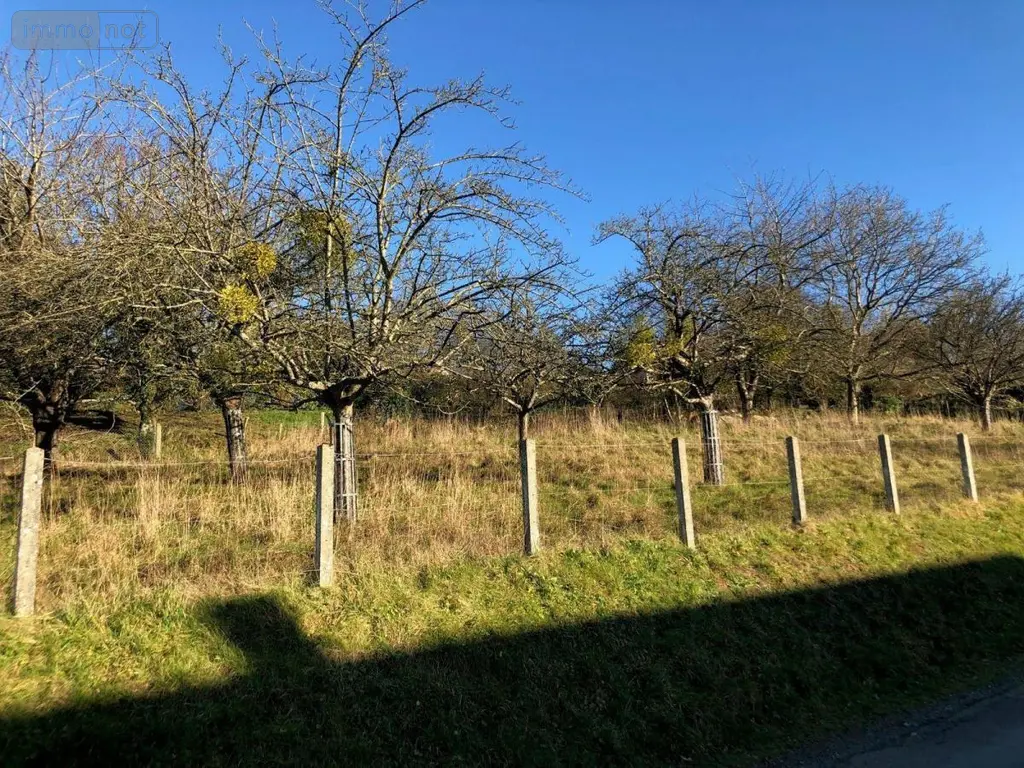 Terrain a batir a vendre Roullours 14500 Calvados 14 38000 euros 14076-4986 003