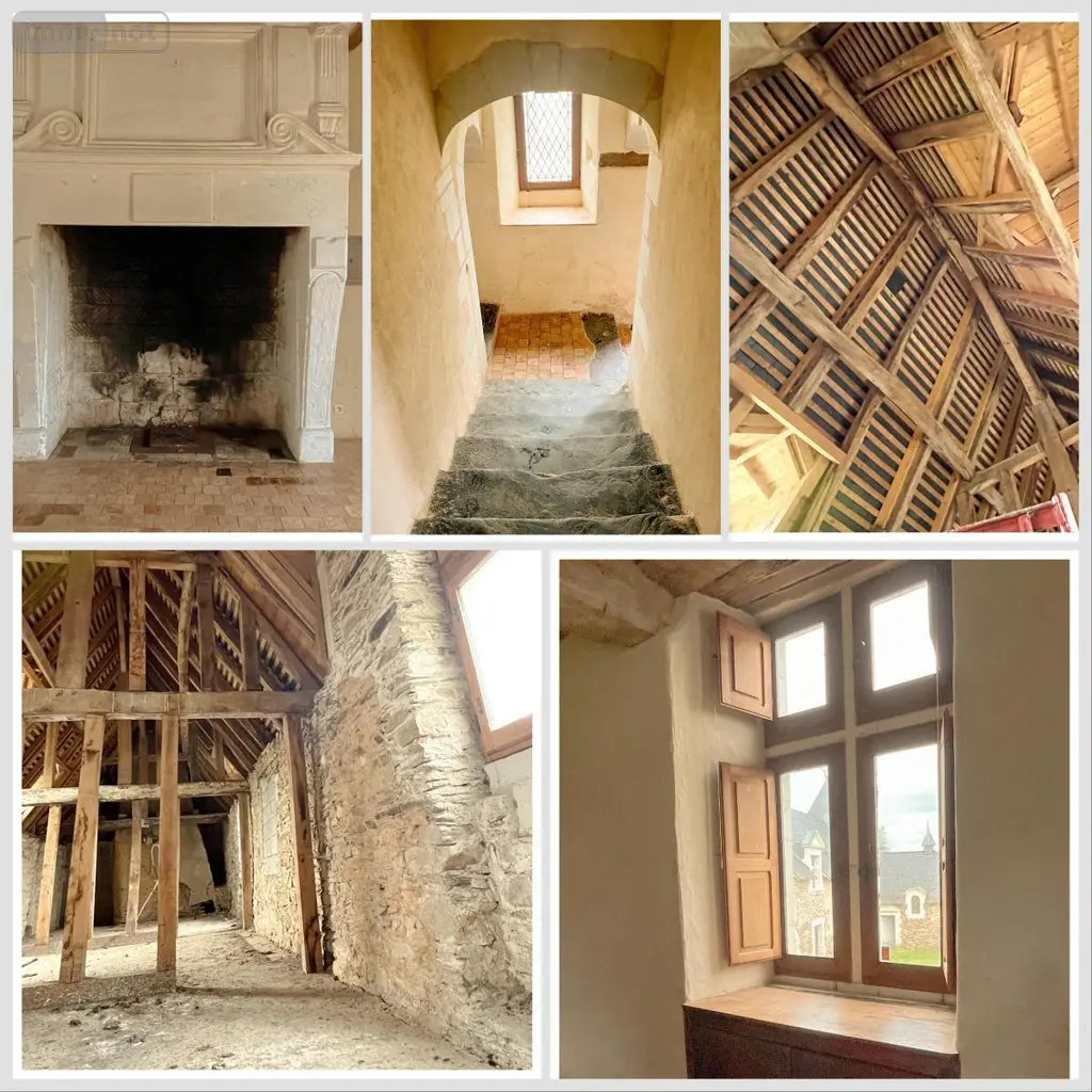 Maison a vendre Segré-en-Anjou Bleu 49500 Maine-et-Loire 49 363 m2 10 pièces 465000 euros 49014-1866 002