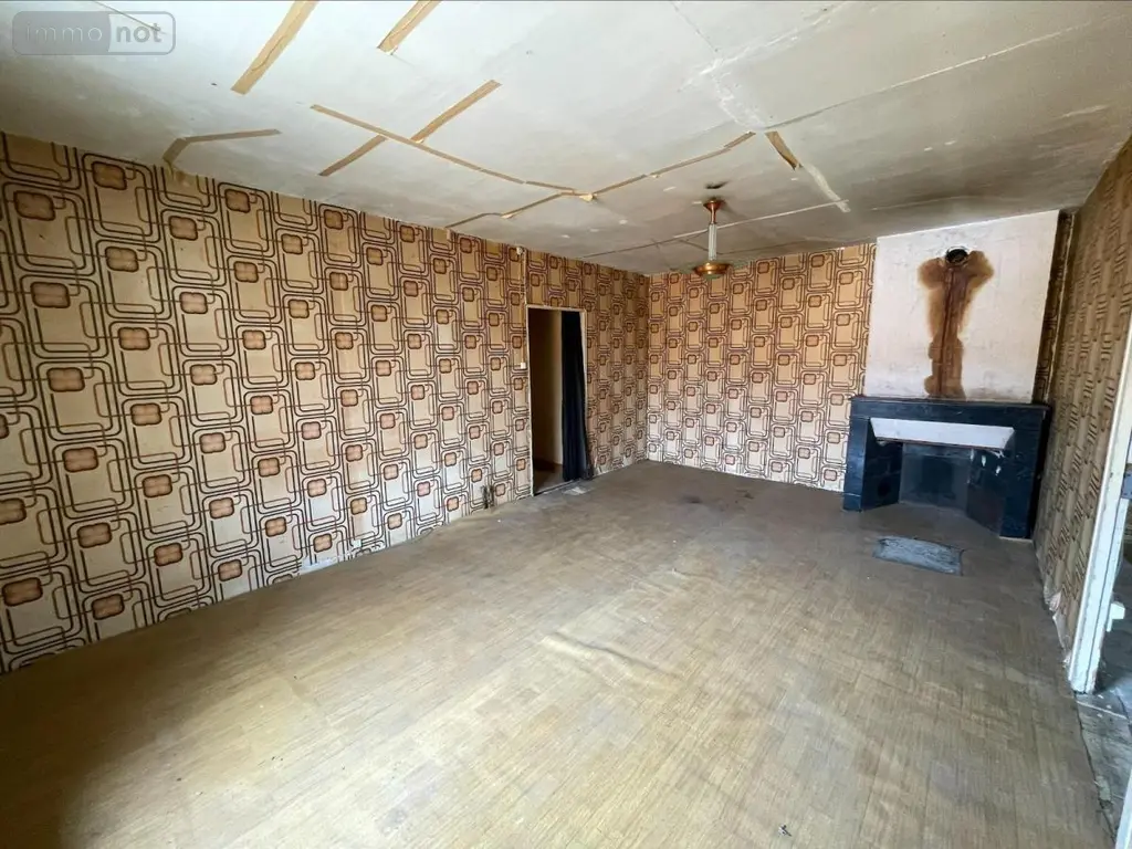 Maison a vendre Bâgé-Dommartin 01380 Ain 01 183 m2 5 pièces 95000 euros 01083-1899 012