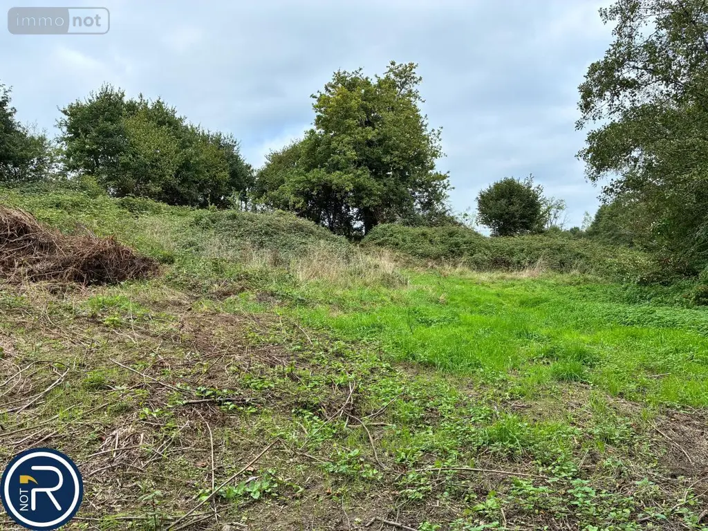 Terrains de loisirs bois etangs a vendre Montaudin 53220 Mayenne 53 13500 euros 53004-1253 011