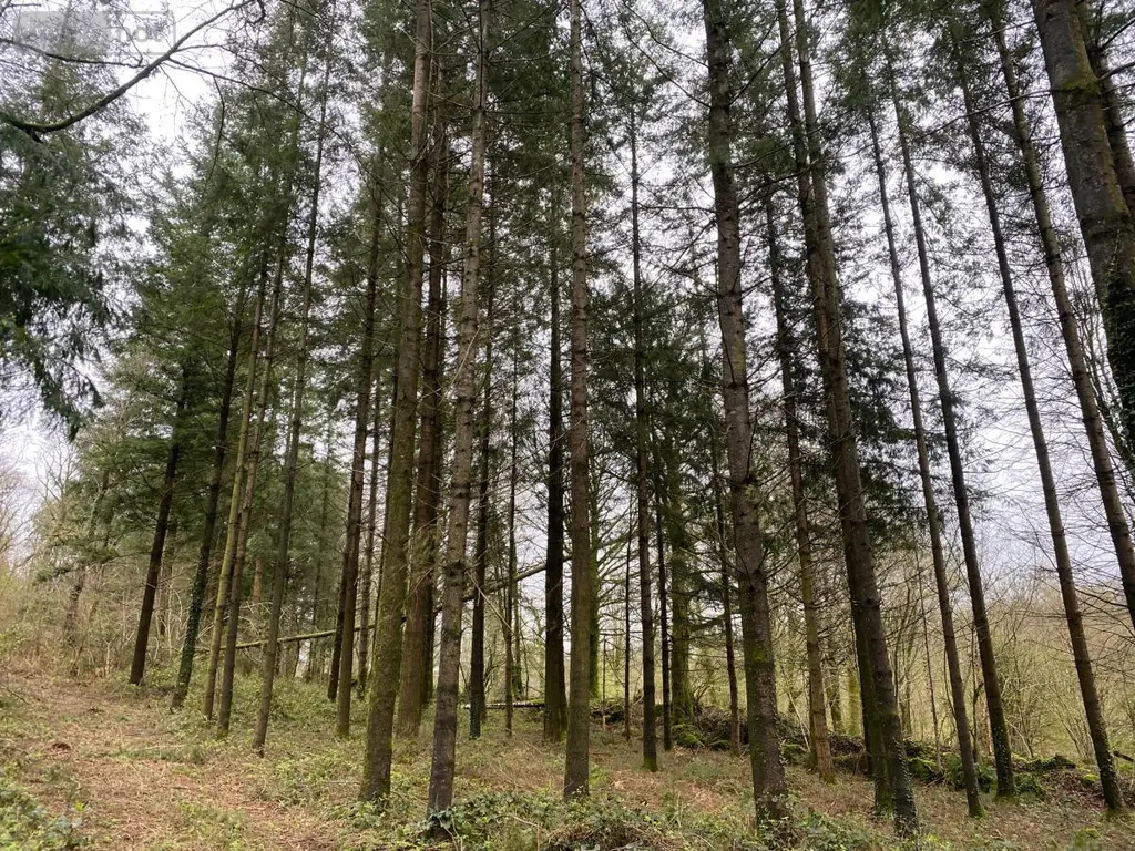 Terrains de loisirs bois etangs a vendre Champ-du-Boult 14380 Calvados 14 56710 euros 14076-5853 002