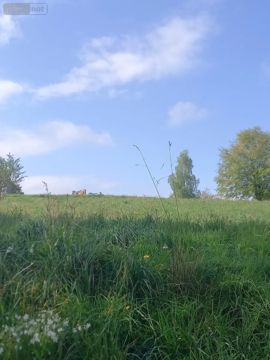 Terrain a batir a vendre Camors 56330 Morbihan 56 76860 euros 56080-962 003