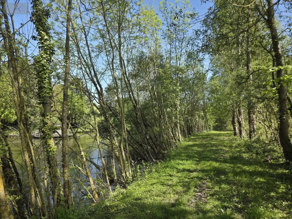 Terrains de loisirs bois etangs a vendre La Roche-Neuville 53200 Mayenne 53 95700 euros 53073-1758 015