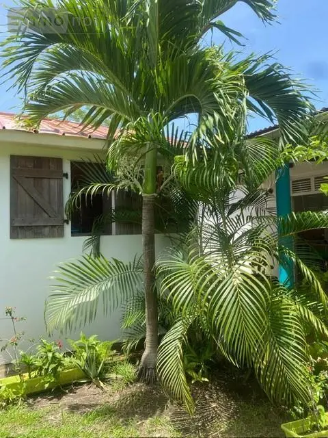 Maison a vendre Le Vauclin 97280 Martinique 972 124 m2 294000 euros 97204-406 005