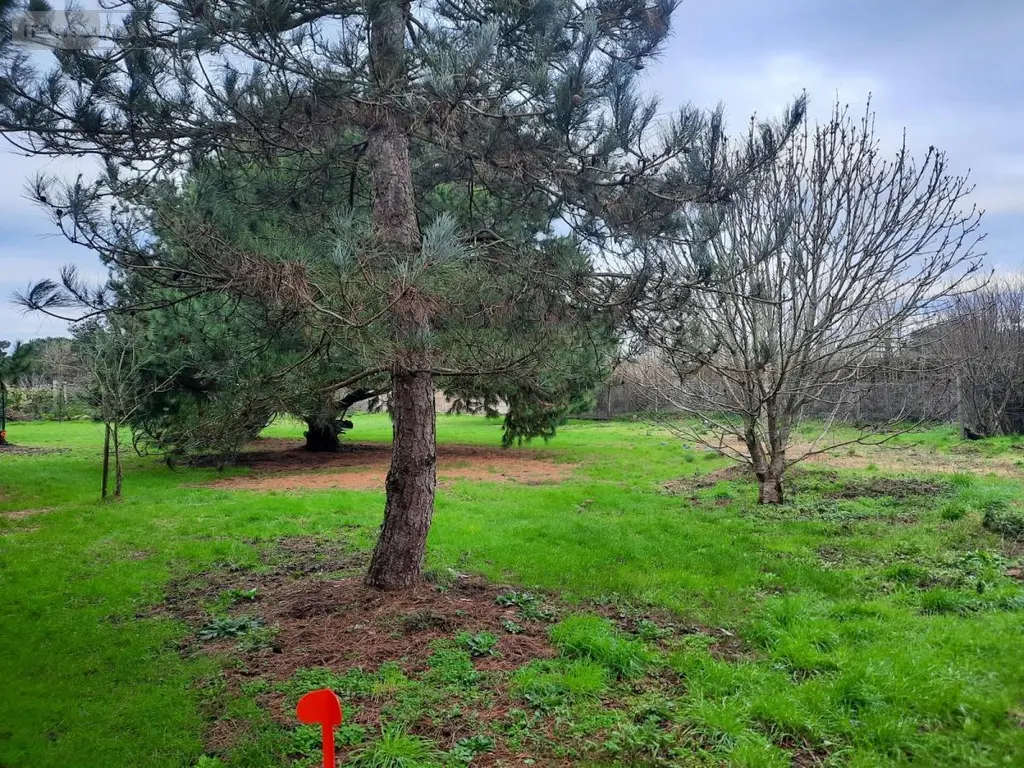 Terrain a batir a vendre Saint-Urbain 85230 Vendée 85 94555 euros 85091-5087 004