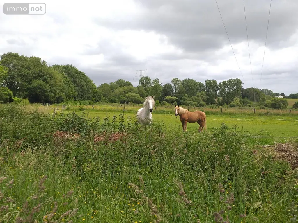 Maison a vendre Locmaria-Grand-Champ 56390 Morbihan 56 171 m2 5 pièces 356722 euros 56005-878 005