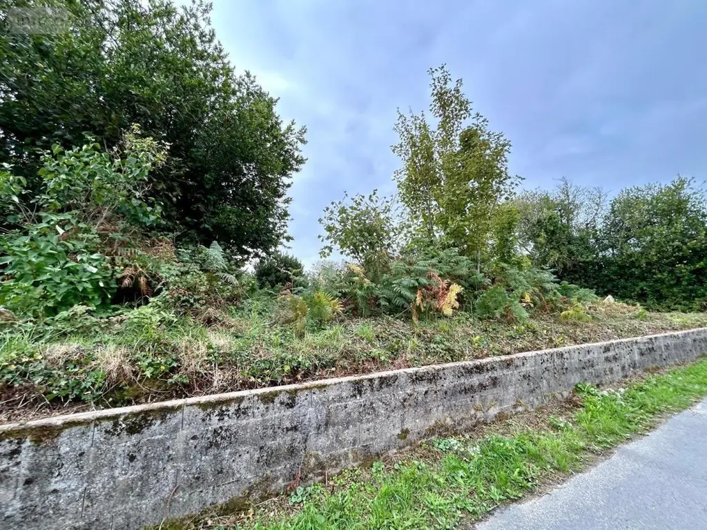 Terrain a batir a vendre Canteloup 50330 Manche 50 69080 euros 50061-2981 008