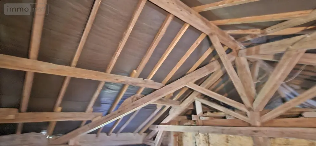 Maison a vendre Ménil-sur-Belvitte 88700 Vosges 88 300 m2 9 pièces 489000 euros 88061-851 031