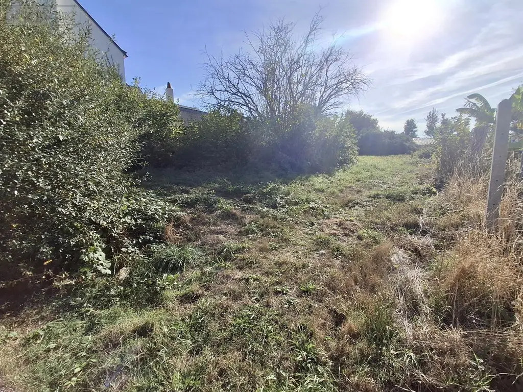 Terrain a batir a vendre Saint-Thuriau 56300 Morbihan 56 39400 euros 56062-2359 001