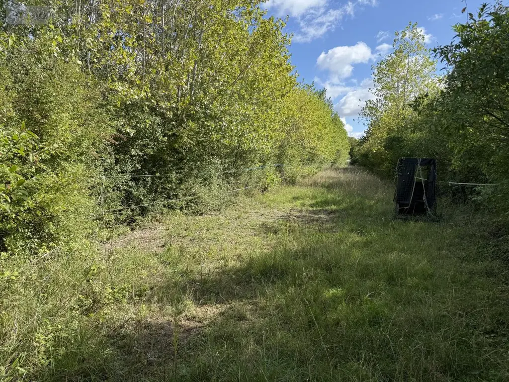Terrains de loisirs bois etangs a vendre Rue 80120 Somme 80 188000 euros 80121-2797 013