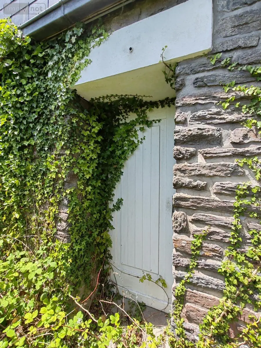 Immeuble de rapport a vendre Plounéour-Ménez 29410 Finistère 29 150 m2 79050 euros 29107-2759 002