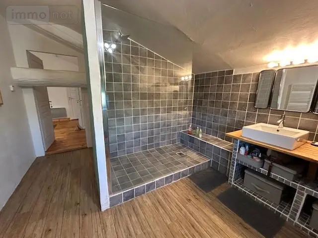 Maison a vendre Crevant-Laveine 63350 Puy-de-Dôme 63 316 m2 9 pièces 375000 euros 63022-87 028