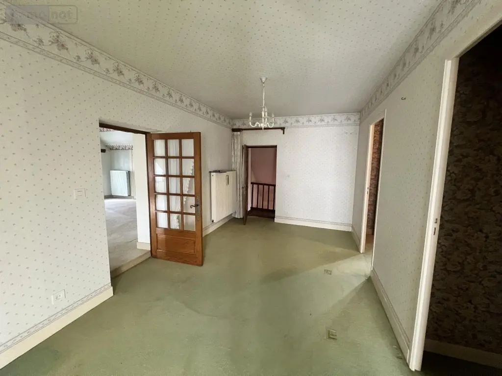 Maison a vendre Meusnes 41130 Loir-et-Cher 41 220 m2 6 pièces 159000 euros 41033-1837 014