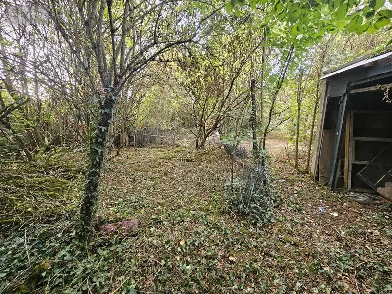 Maison a vendre Phalempin 59133 Nord 59 91 m2 61000 euros 59007-1945 008