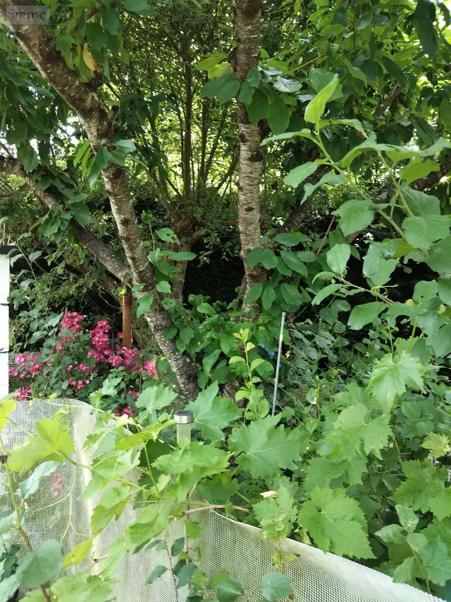 Terrains de loisirs bois etangs a vendre Neuville-sur-Sarthe 72190 Sarthe 72 58300 euros 72125-69 007