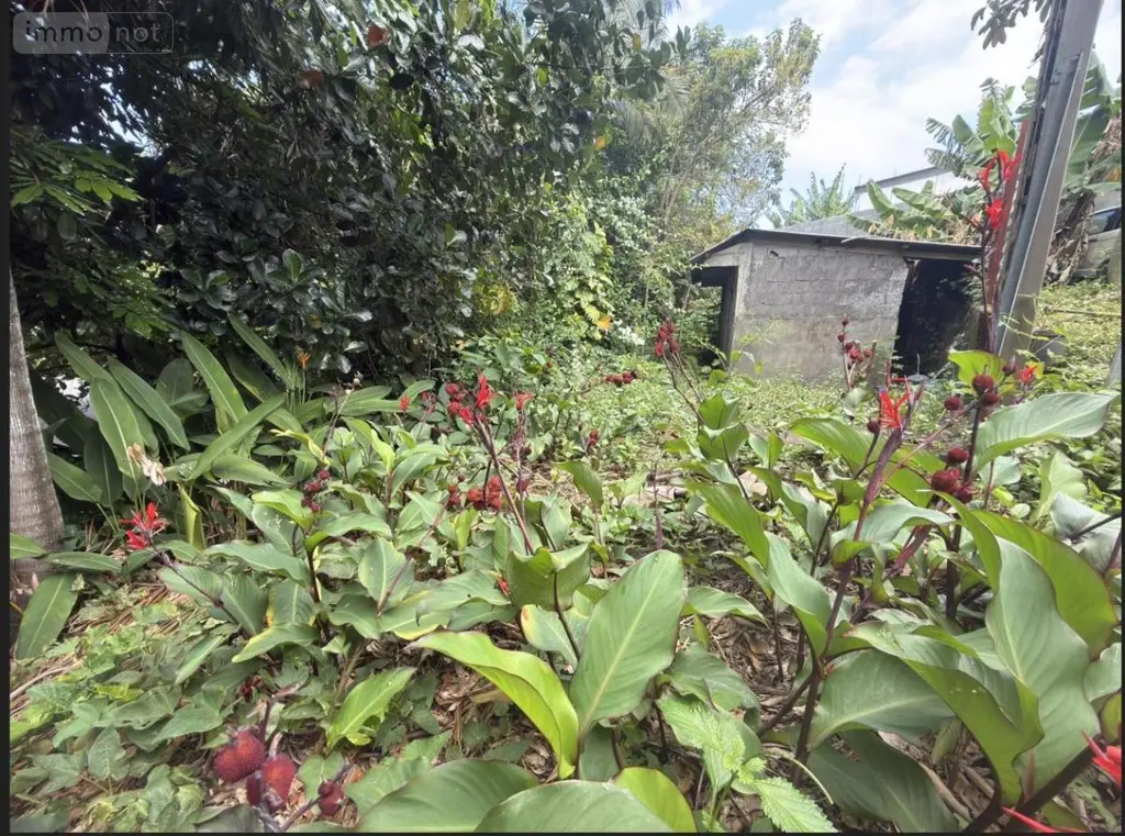 Maison a vendre Saint-Joseph 97480 La Réunion 974 60 m2 4 pièces 200000 euros 97410-725 009