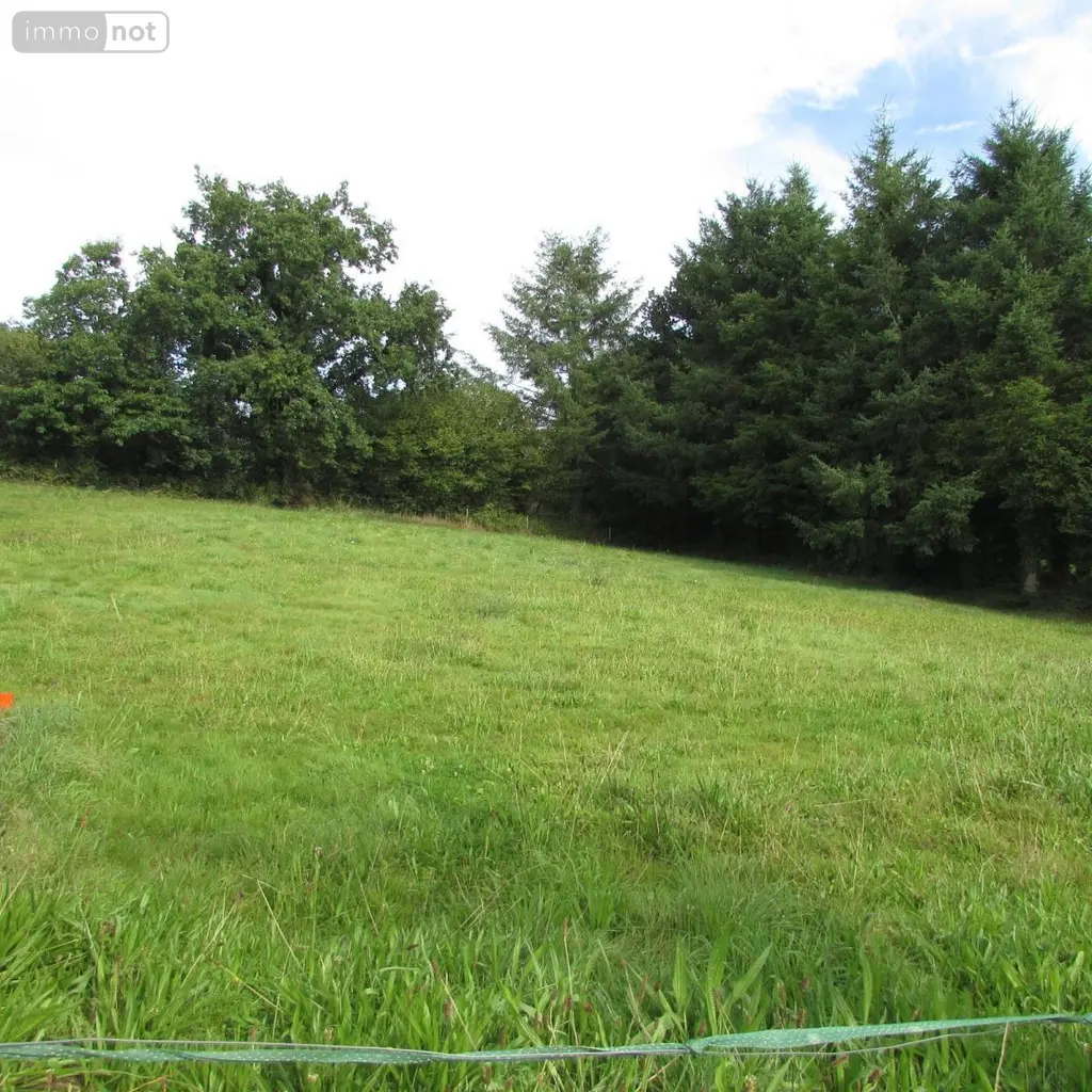 Terrain a batir a vendre Sainte-Cécile 50800 Manche 50 26800 euros 50038-2665 003