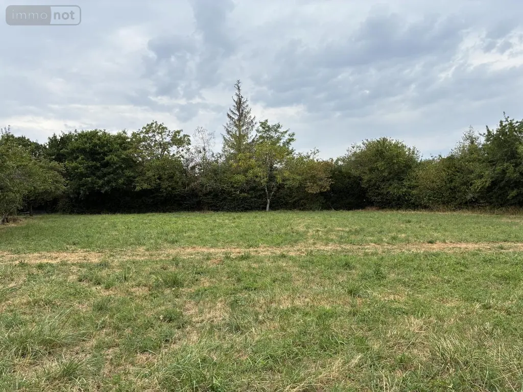 Terrains de loisirs bois etangs a vendre Brée 53150 Mayenne 53 69000 euros 53004-1342 015