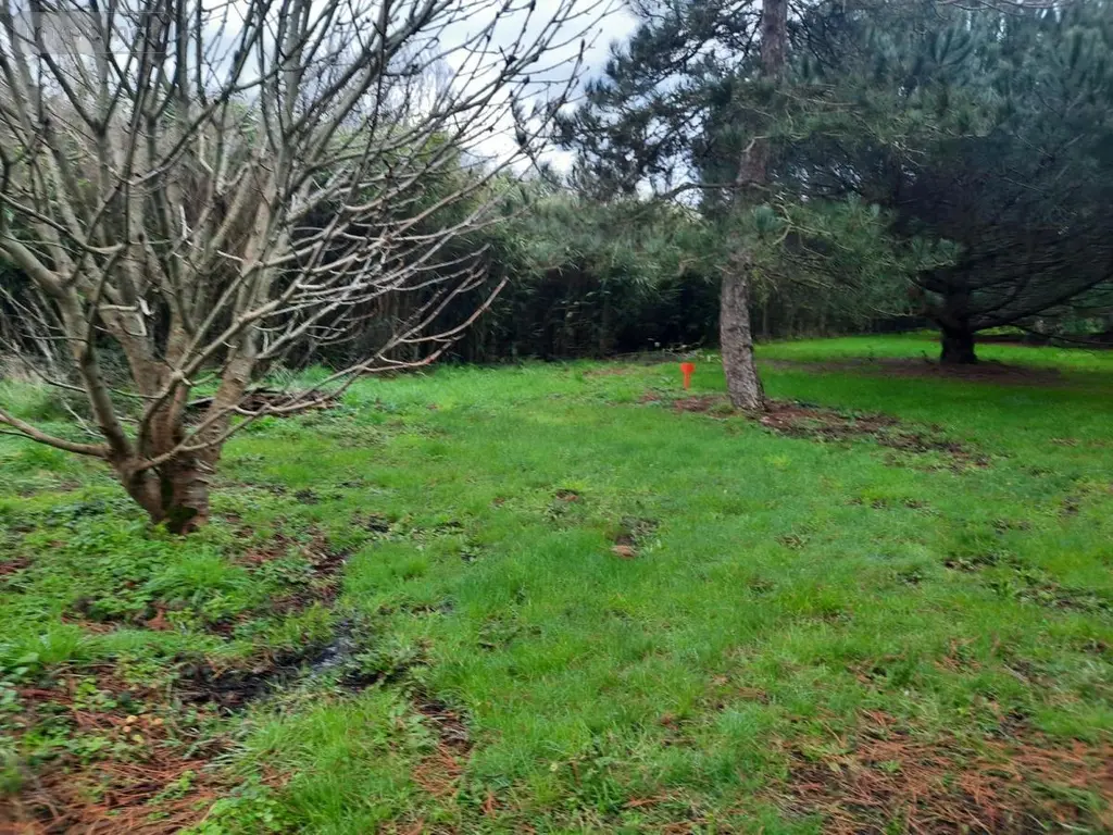 Terrain a batir a vendre Saint-Urbain 85230 Vendée 85 94555 euros 85091-5087 003