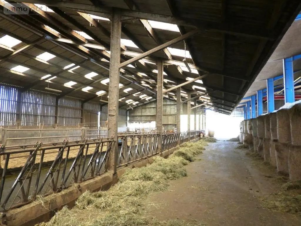 Divers a vendre Le Saint 56110 Morbihan 56 1 m2 335600 euros 56075-2414 009