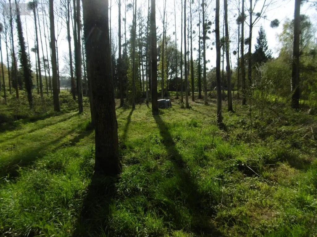 Terrains de loisirs bois etangs a vendre Pont-Farcy 50420 Manche 50 11000 euros 14076-5642 002