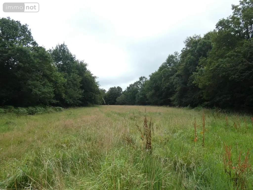 Terrain a batir a vendre Loqueffret 29530 Finistère 29 53000 euros 29129-1048 004