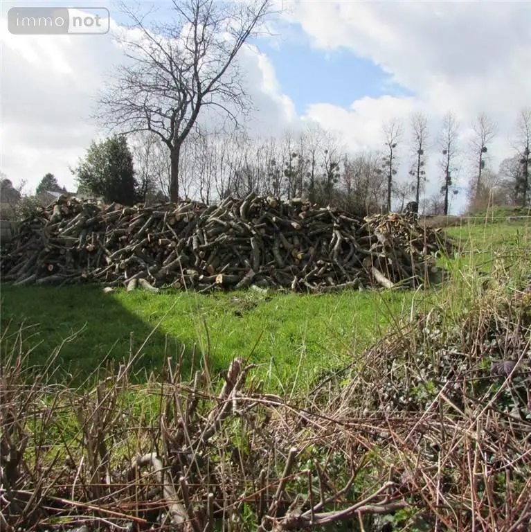 Terrains de loisirs bois etangs a vendre Chérencé-le-Héron 50800 Manche 50 6800 euros 50038-2565 001