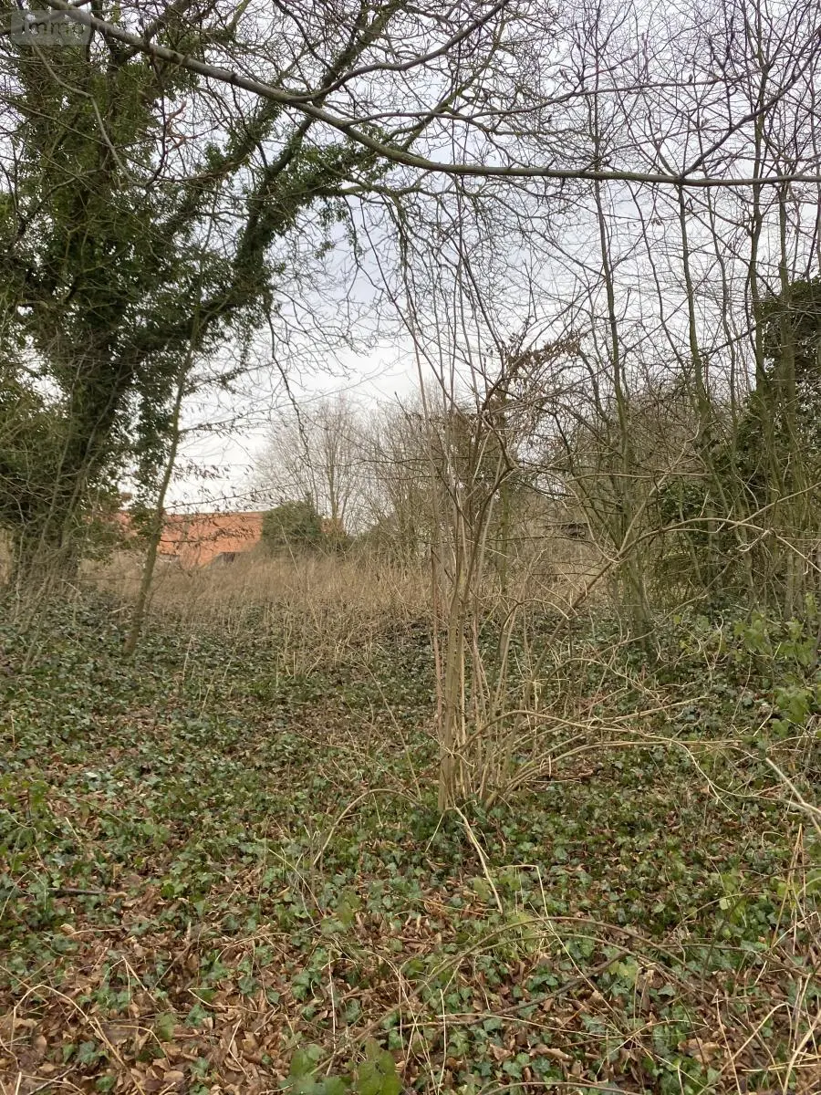 Terrain a batir a vendre Bailleulval 62123 Pas-de-Calais 62 47700 euros 62114-776 004