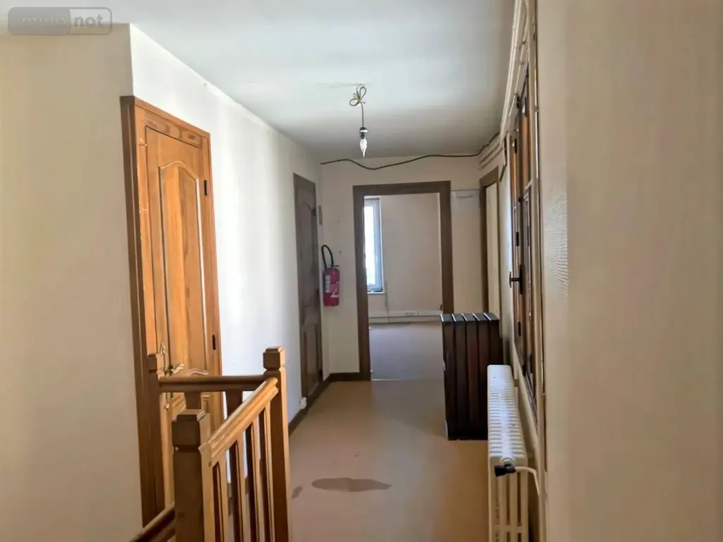 Immeuble de rapport a vendre Les Aix-d'Angillon 18220 Cher 18 220 m2 73150 euros 18006-251 007